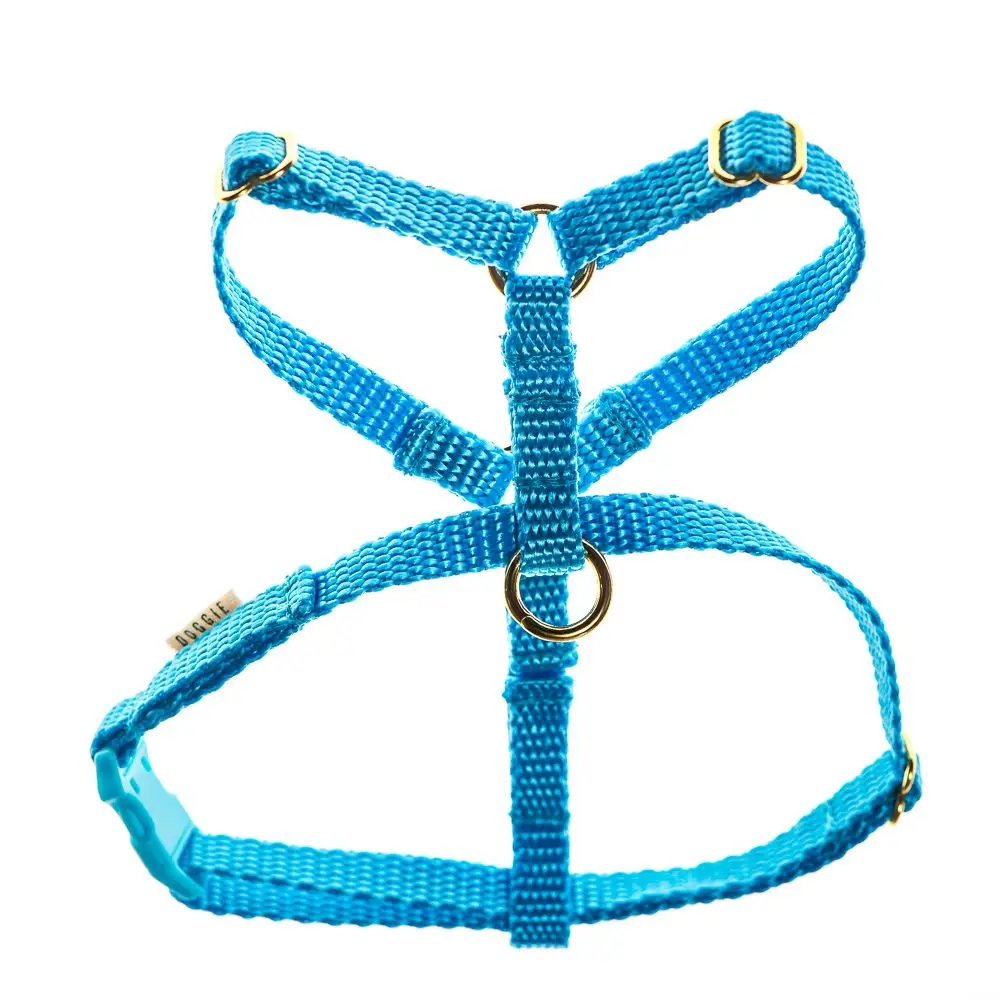 Teeny harnesses for puppies and small dogs