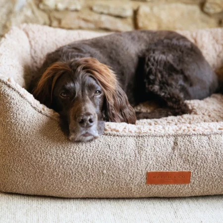 Calming dog beds | Boucle