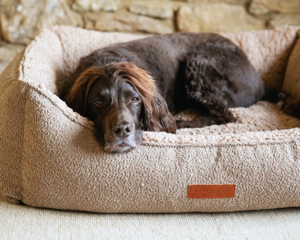 Calming dog beds | Boucle