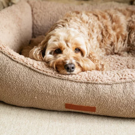 Calming dog beds | Boucle