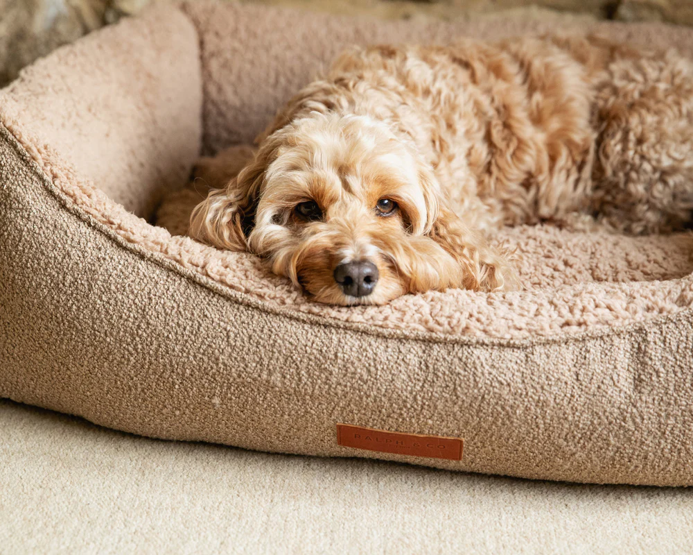 Calming dog beds | Boucle