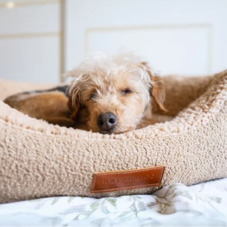 Calming dog beds | Boucle
