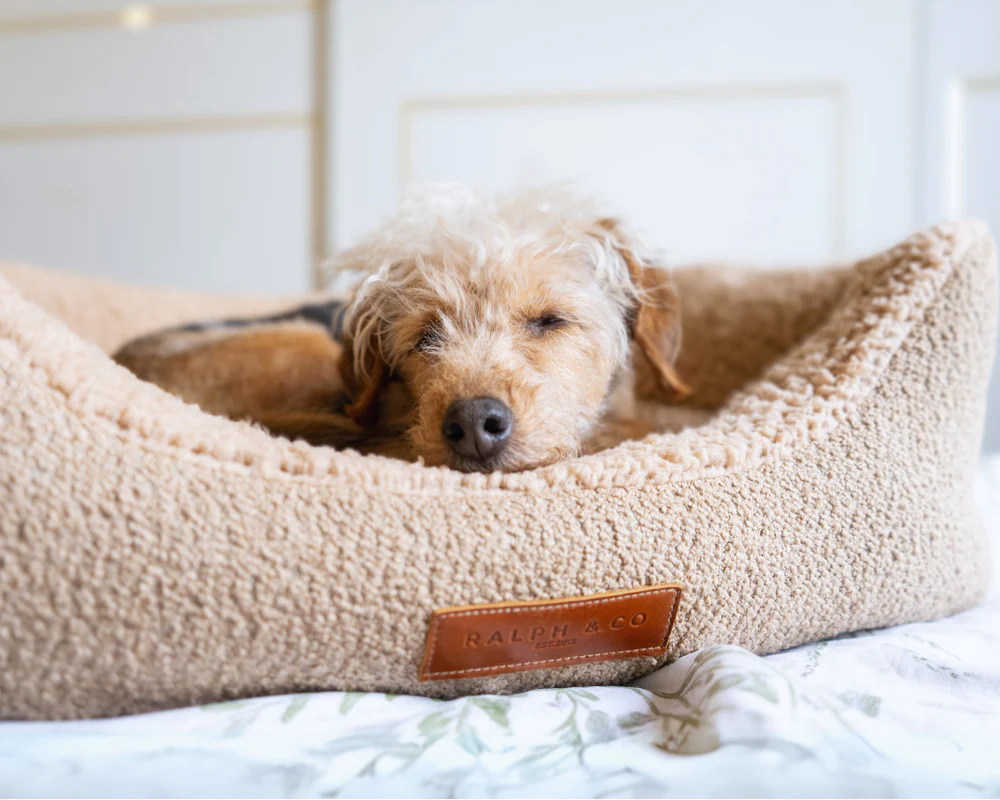 Calming dog beds | Boucle