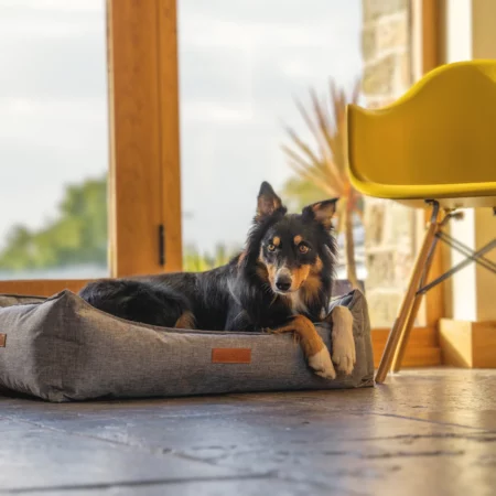 Waterproof dog bed ralph and co