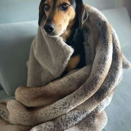 Faux fur calming dog blanket - wild rabbit