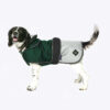 Battersea 2 in 1 Ultimate Dog Coat Green