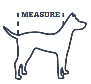 Measuring dog coats