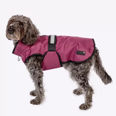 3 in 1 Dog Coats - Purple