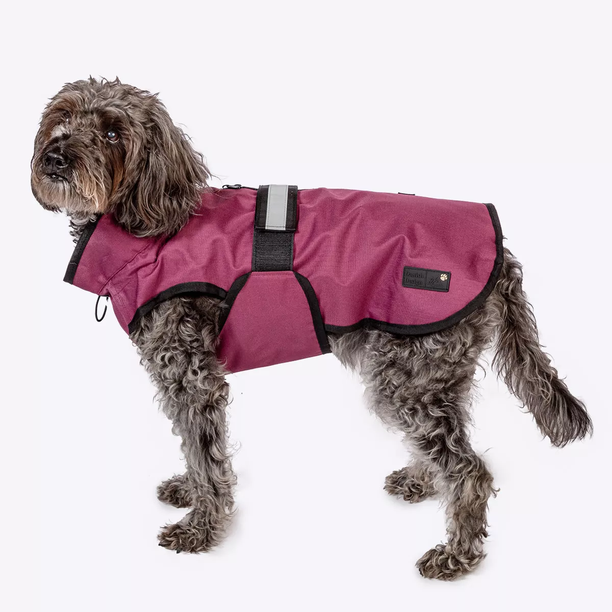 3 in 1 Dog Coats - Purple