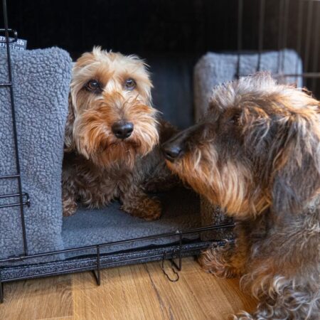 Dog Crate Bedding Sets