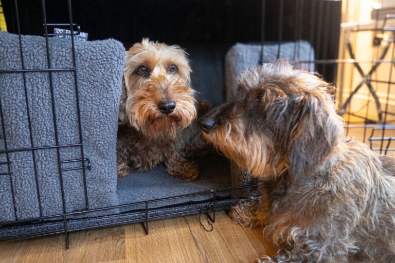 Dog Crate Bedding Sets