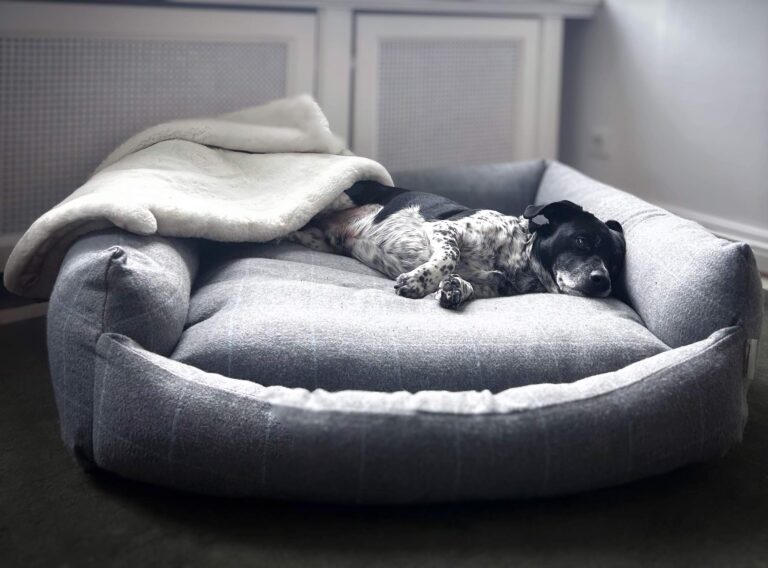 Luxury Tweed Bolster Dog Bed