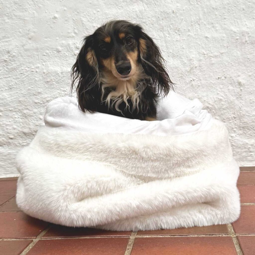 Luxury Dog Blankets. Christmas Gifts