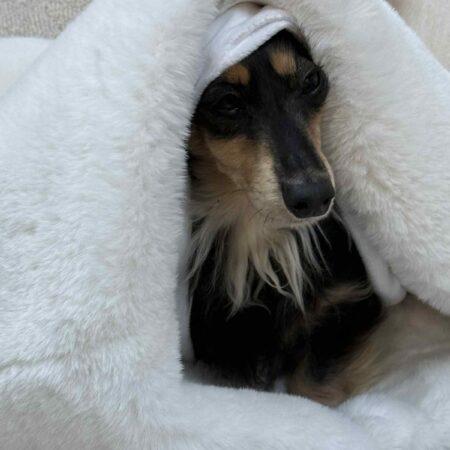 Alternative view of Luxury Faux Fur Snuggle Sac | 3 in 1 bed, blanket and snuggle bag