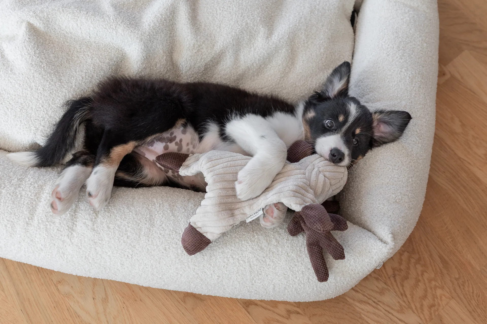 Boucle dog bed Cream