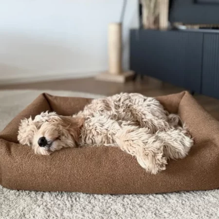 Boucle Luxury Dog Beds