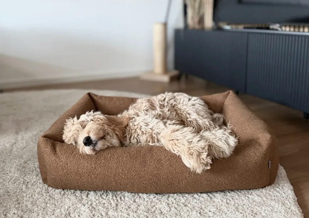 Boucle Luxury Dog Beds