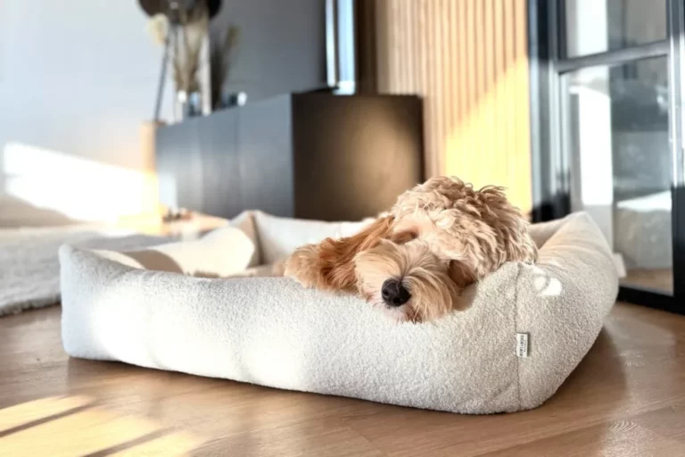 Boucle Luxury Dog Beds