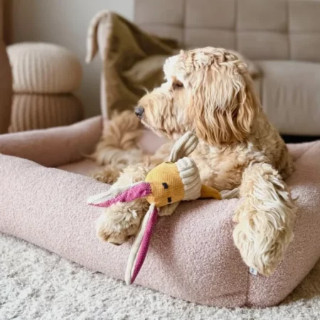 Boucle Luxury Dog Beds