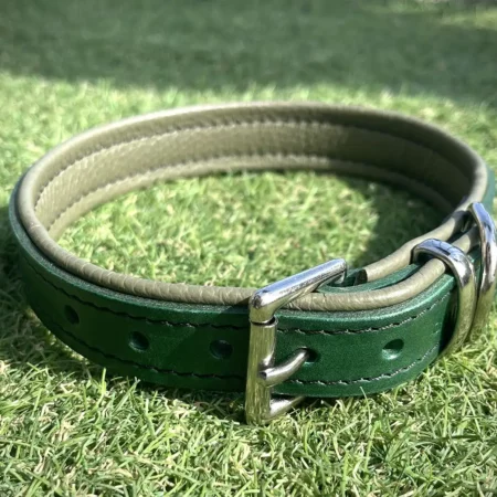 Forest Green and Olive Leather Padded Dog Collar