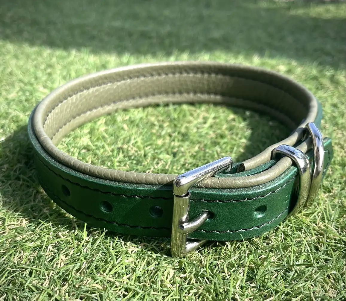 Forest Green and Olive Leather Padded Dog Collar