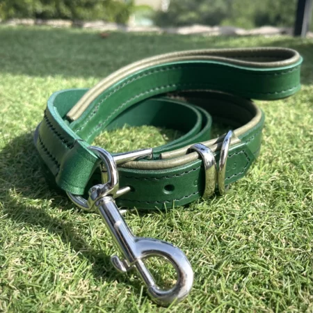 Forest Green and Olive Leather Padded Dog Collar