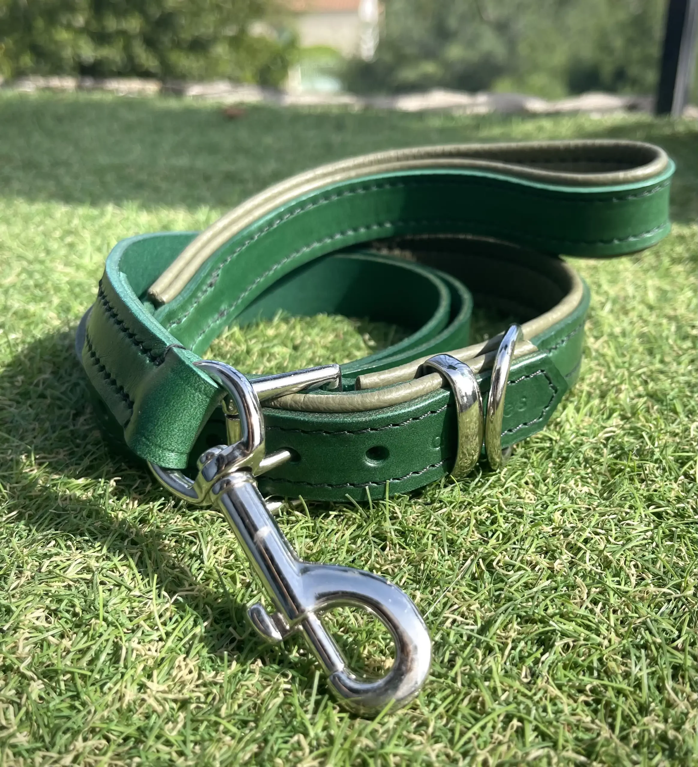 Forest Green and Olive Leather Padded Dog Collar