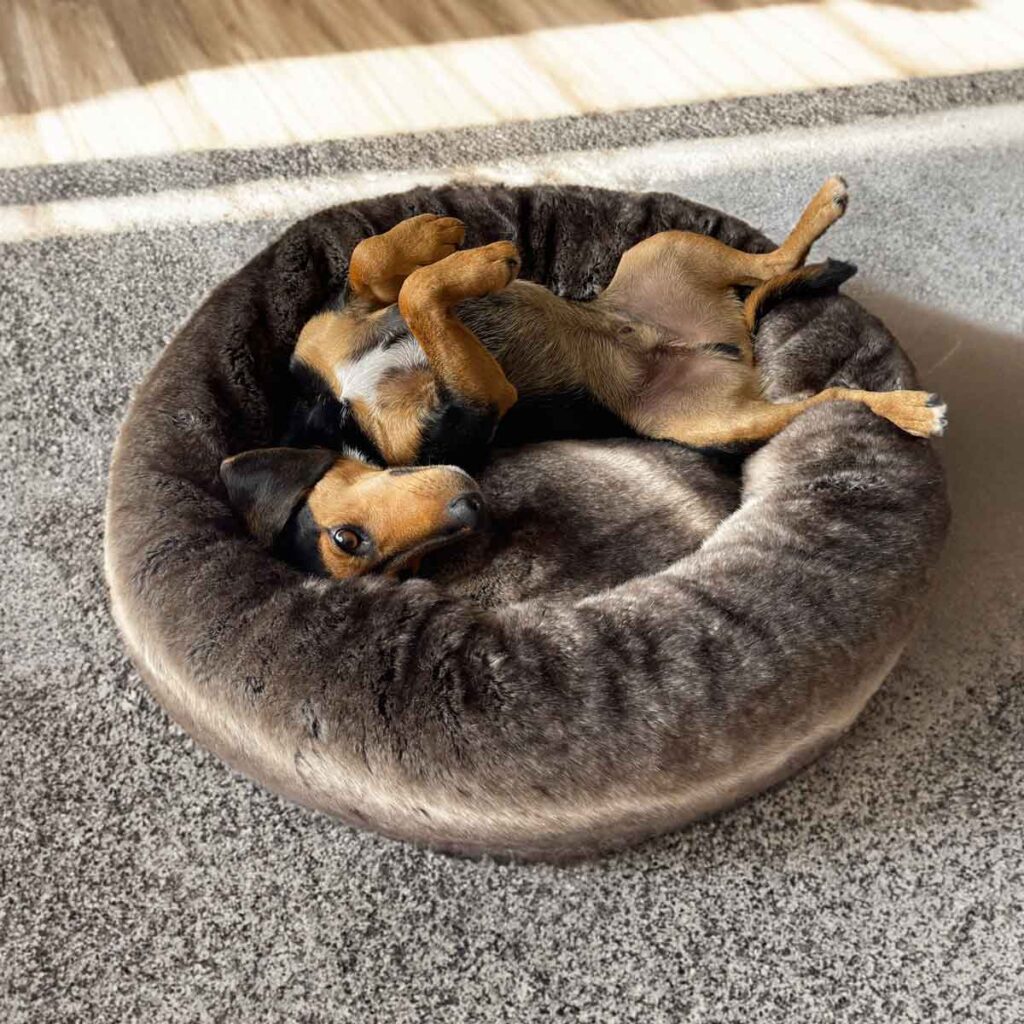 Faux fur dog bed. Calming dog bed by the Stylish Dog Company
