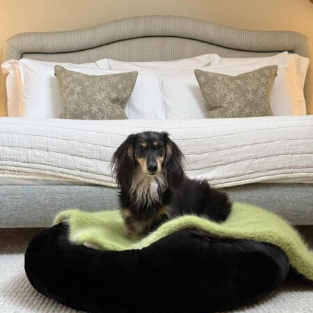 Black Faux Fur Dog bed by The Stylish Dog Company