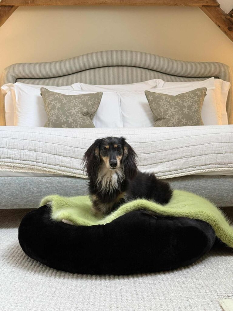 Black Faux Fur Dog bed by The Stylish Dog Company