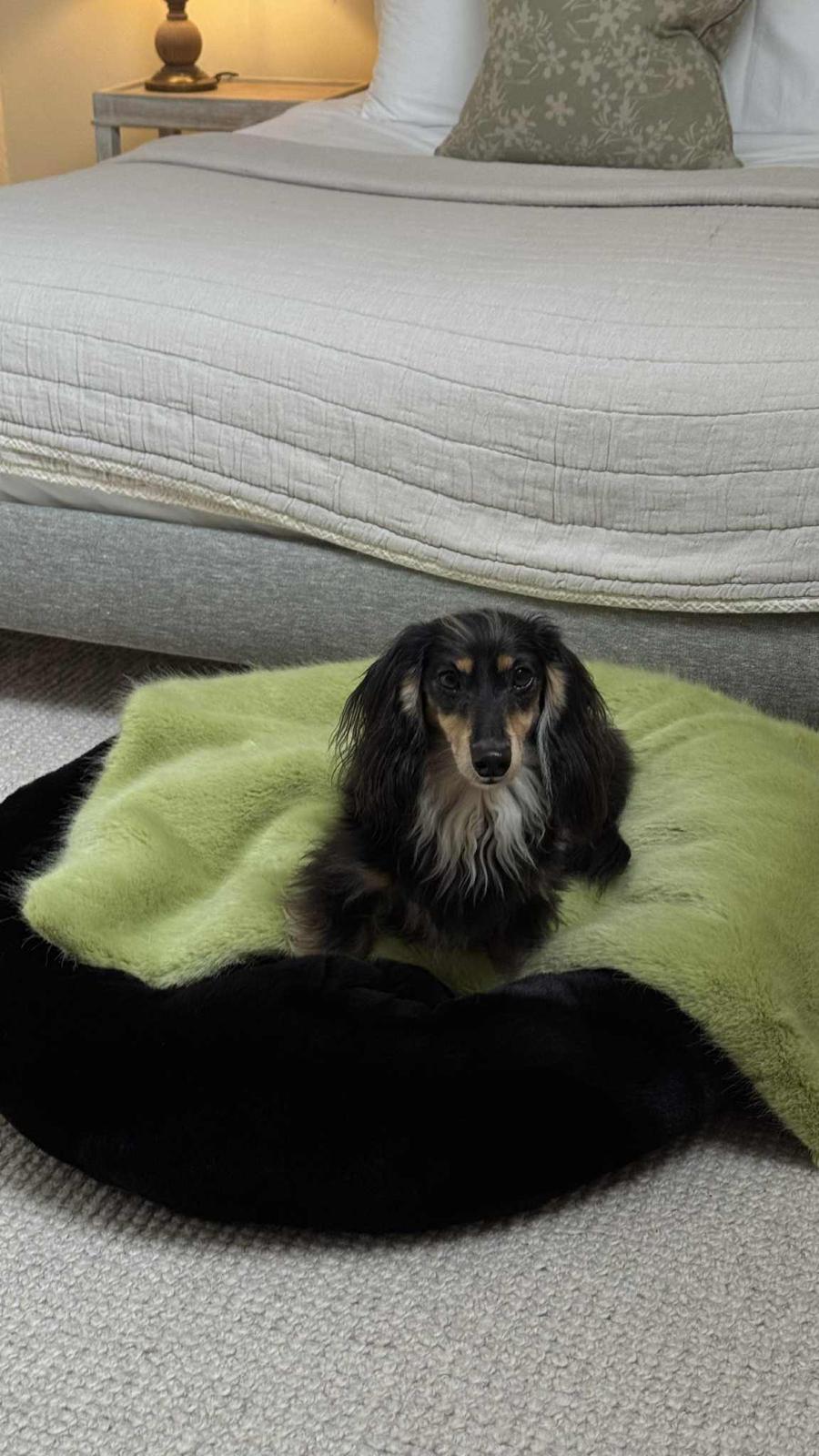 Black Faux Fur Dog bed by The Stylish Dog Company