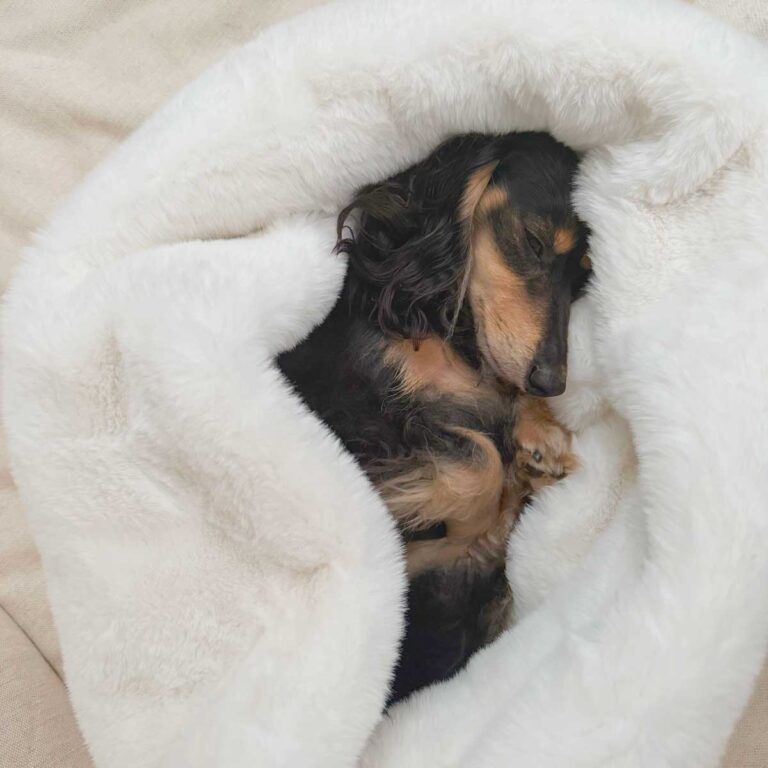 Calming Dog Snuggle Bags