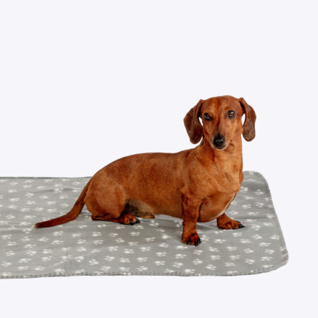 Silver Polar Fleece Dog Blanket
