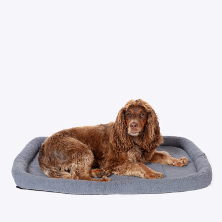 Charcoal Dog Mattress