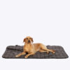Sherpa Fleece Charcoal Arrows Dog Blanket
