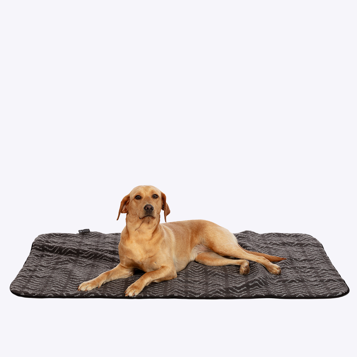 Sherpa Fleece Charcoal Arrows Dog Blanket