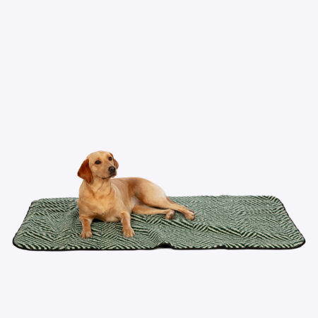 Sherpa Fleece Green Herringbone Dog Blanket