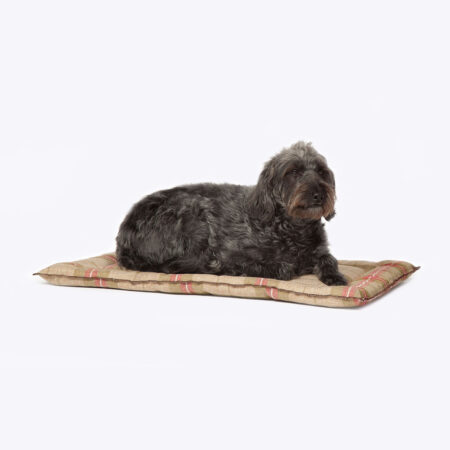 Newton Moss Dog Crate Mattress