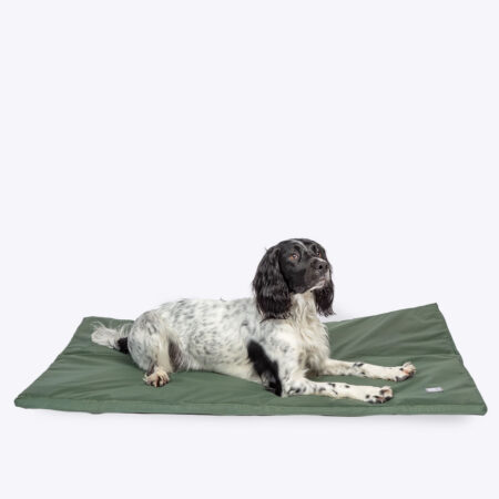 County Standard Duvet Dog Bed