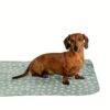 Silver Polar Fleece Dog Blanket