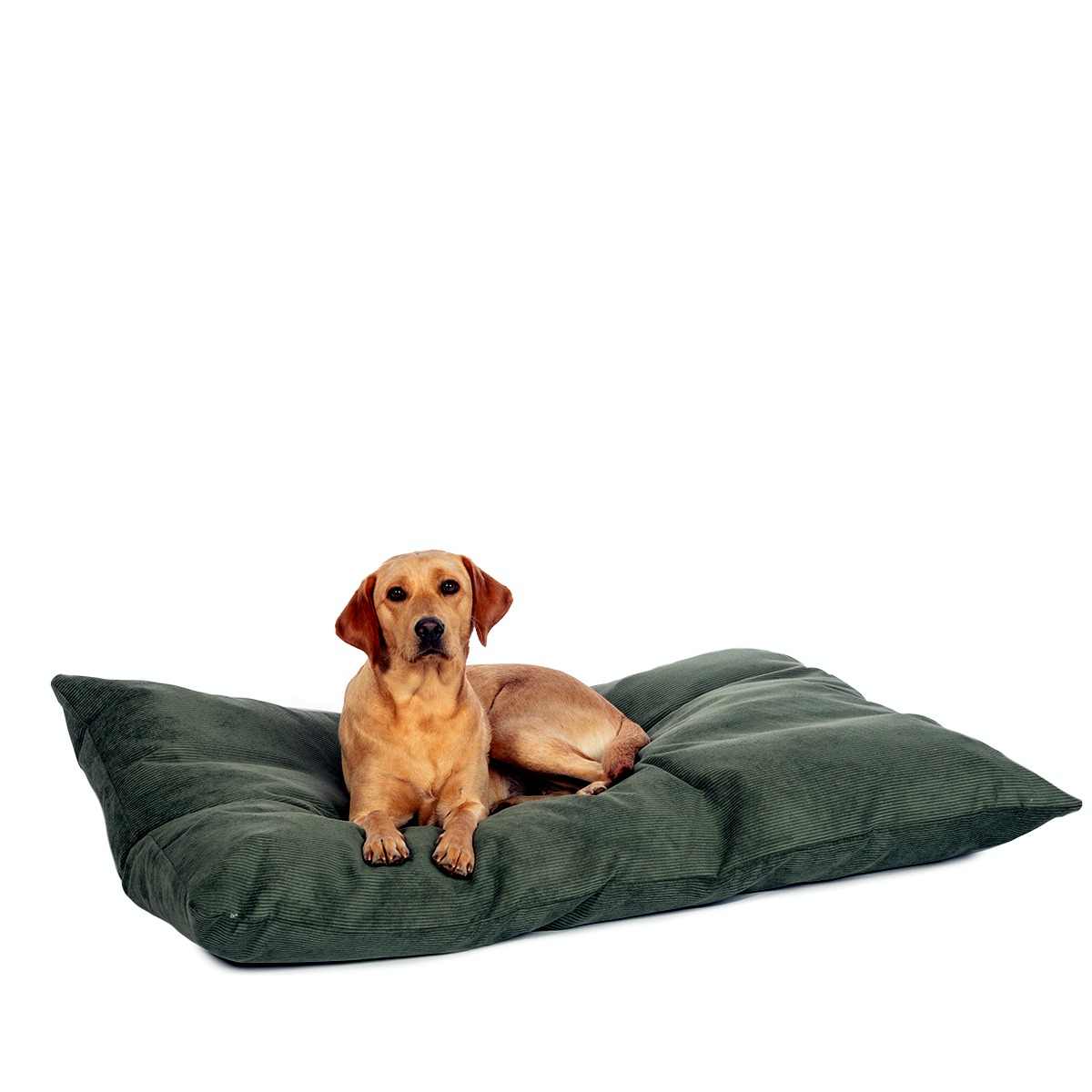 Elden Fern Deep Duvet Dog Bed