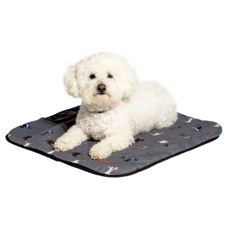 FatFace Marching Dogs Dog Blanket