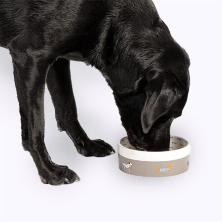 FatFace Marching Dogs Pet Bowl | Non-personsalised