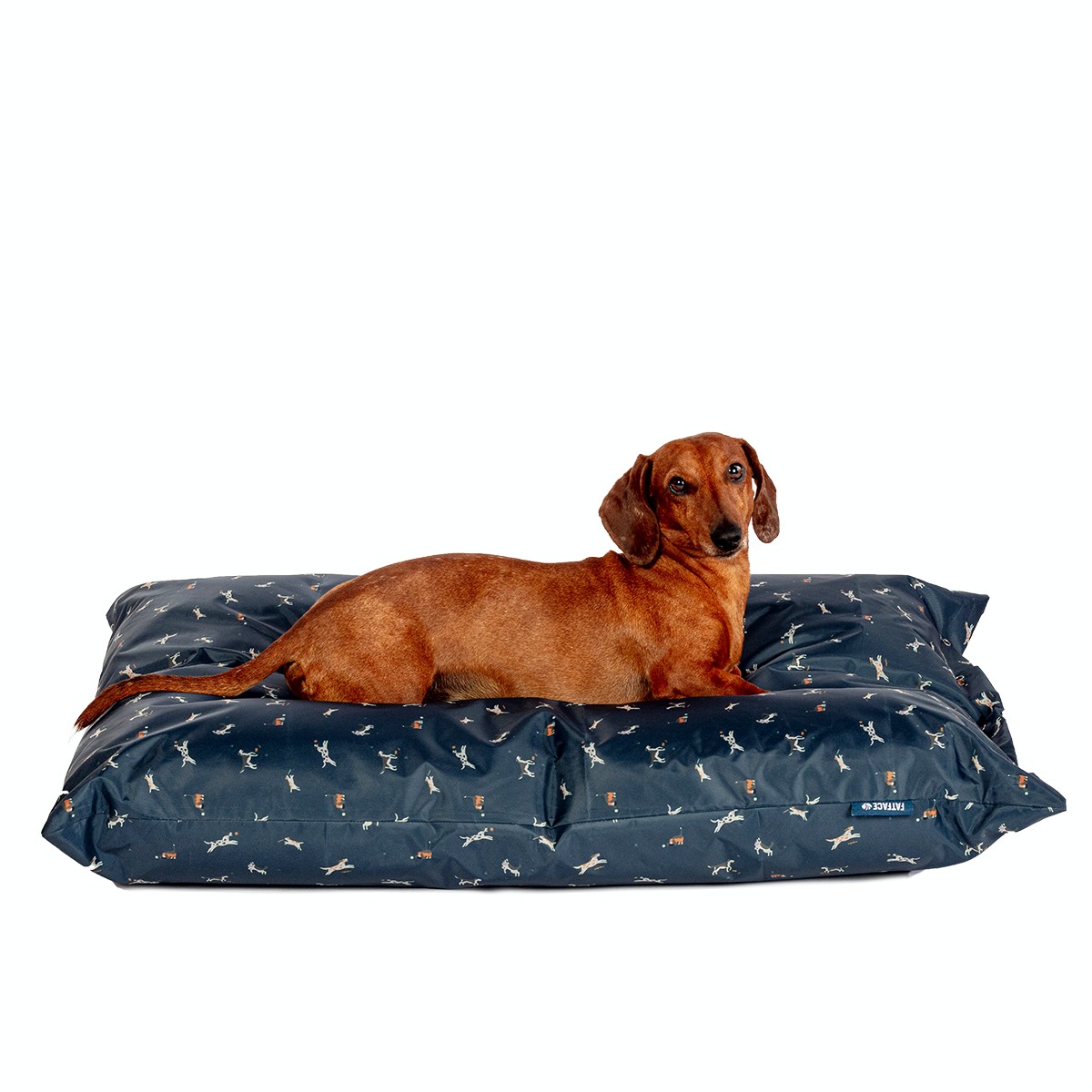 FatFace Active Dogs Deep Duvet Dog Bed