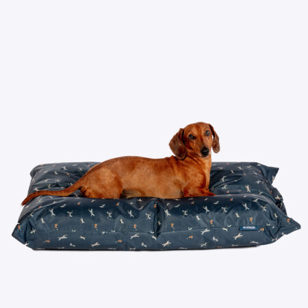 FatFace Active Dogs Deep Duvet Dog Bed