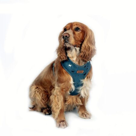 FatFace Marching Dogs Dog Harness