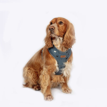 FatFace Marching Dogs Dog Harness