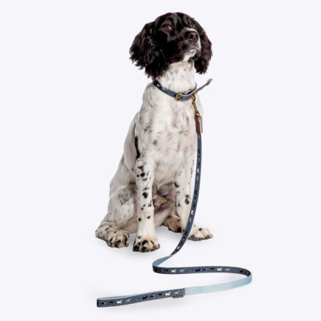 FatFace Marching Dogs Dog Lead