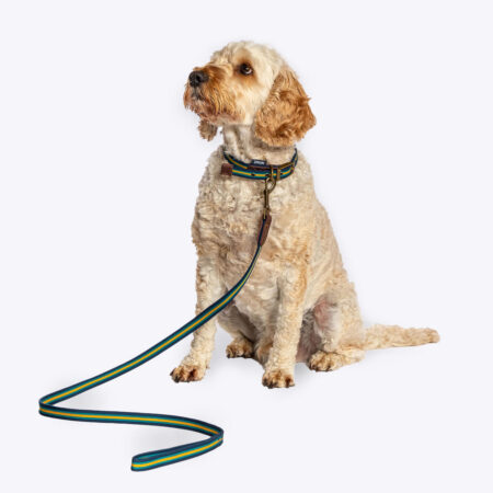 FatFace Bold Stripe Woven Dog Lead