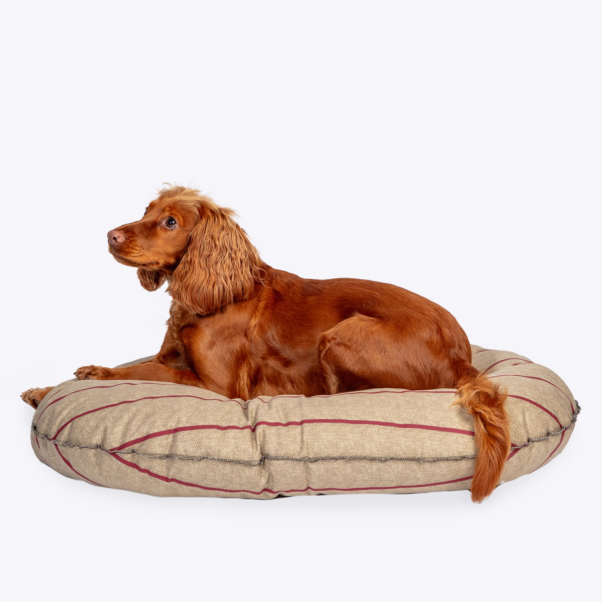 Heritage Herringbone Quilted Dog Mattress